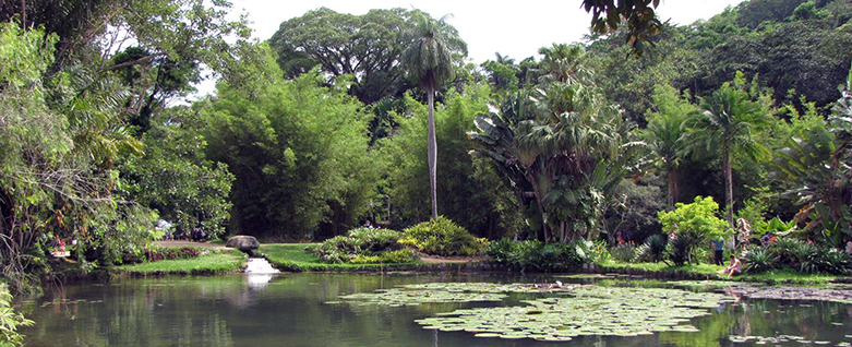 Fábio Caramuru EcoMúsica Jardim Botânico do Rio de Janeiro