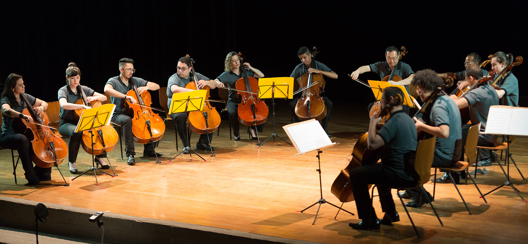 Fukuda Cello Ensemble - Ricardo Fukuda e violoncelistas em concerto - Instituto Fukuda